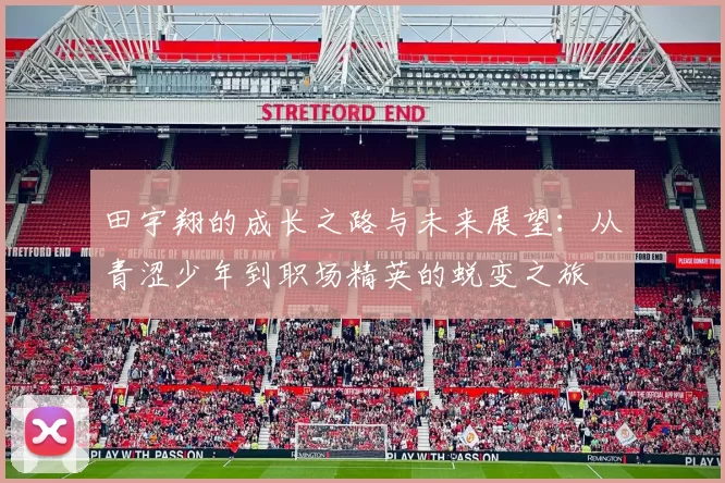 田宇翔的成长之路与未来展望：从青涩少年到职场精英的蜕变之旅